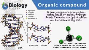 Organic Compounds